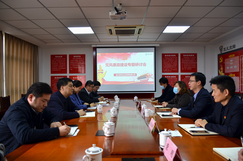市紀(jì)委至安保公司開展黨風(fēng)廉政建設(shè)專題研討會(huì).jpg
